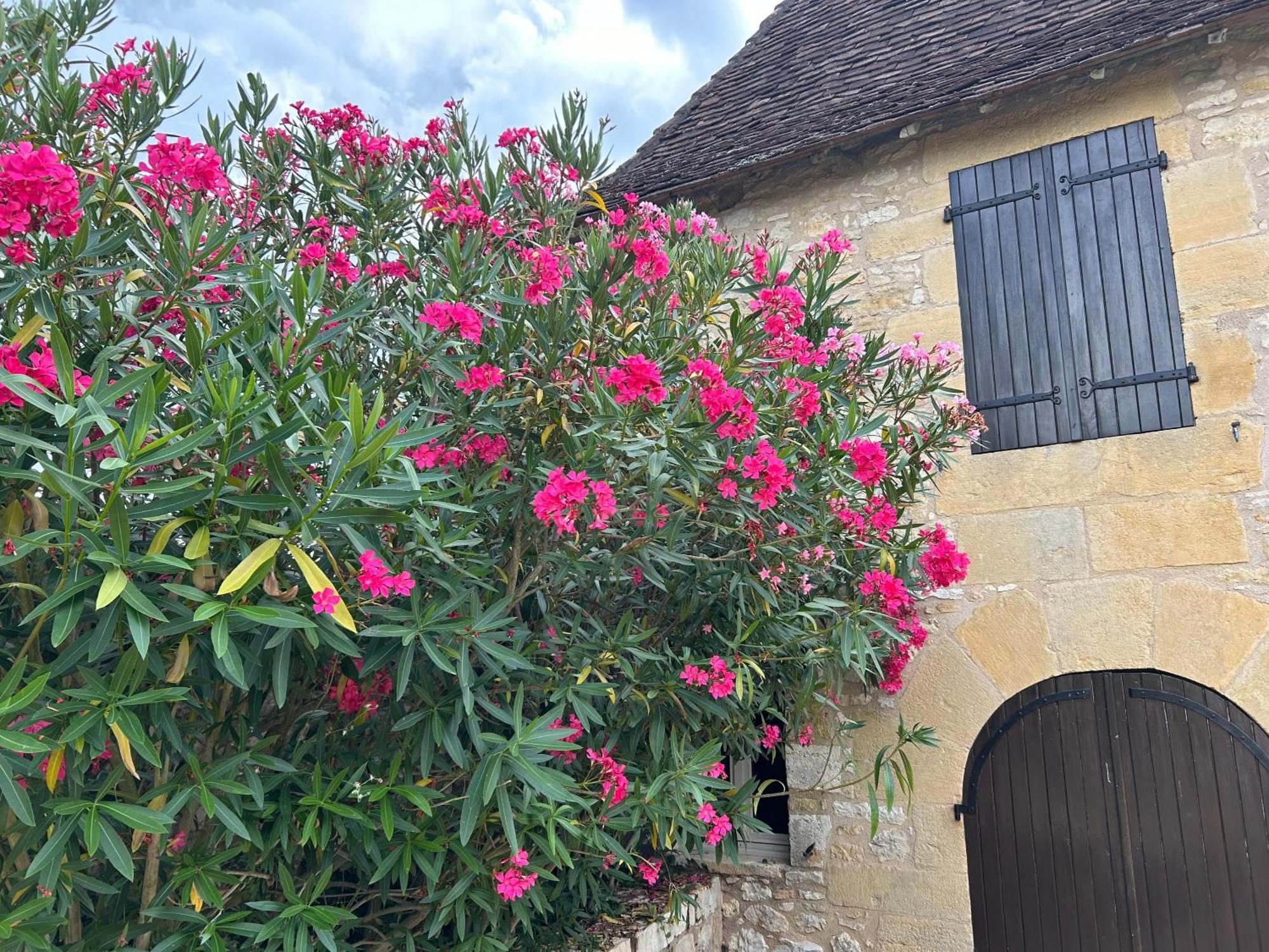 Demeure Du Vallon - Chambres D'Hotes De Charme Azerat Εξωτερικό φωτογραφία